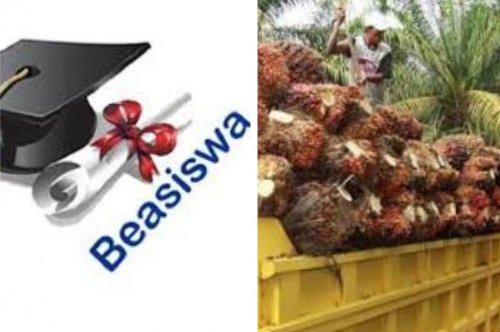 Kesempatan emas anak Riau, Beasiswa SDM Sawit 2026 dibuka untuk lulusan SMA/SMK (foto/int)